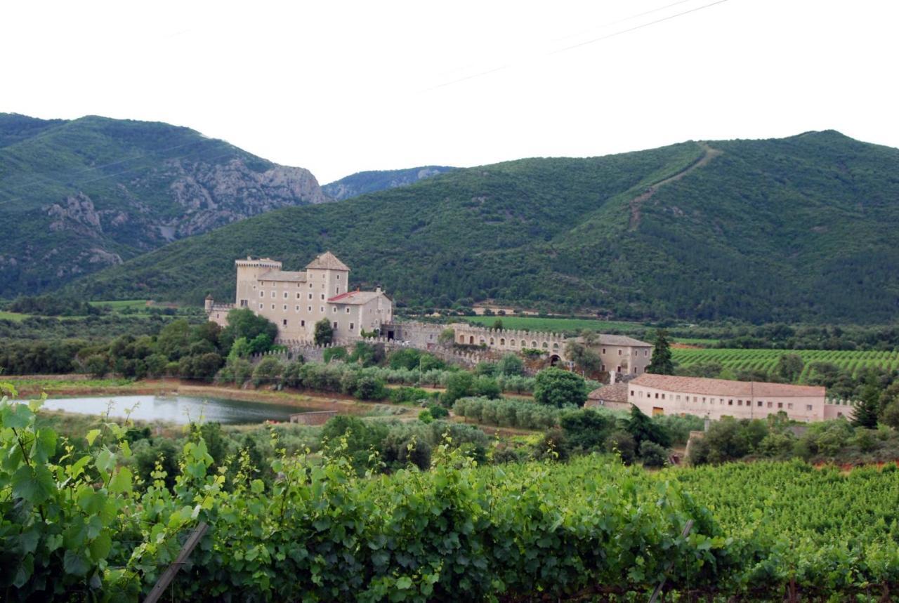 Castell De Riudabella Apartment Vimbodi I Poblet Ngoại thất bức ảnh
