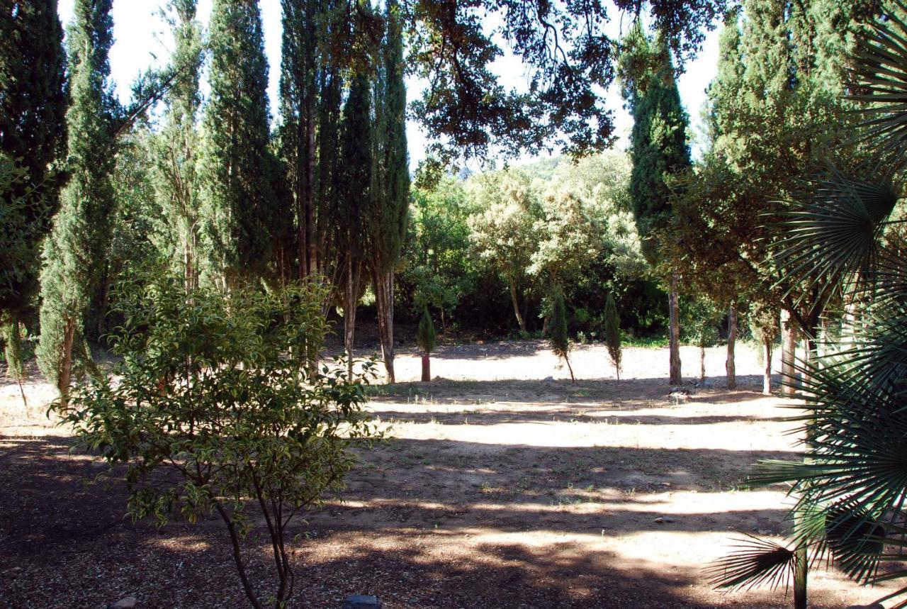 Castell De Riudabella Apartment Vimbodi I Poblet Ngoại thất bức ảnh