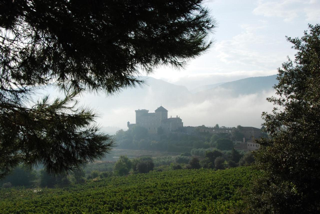 Castell De Riudabella Apartment Vimbodi I Poblet Ngoại thất bức ảnh