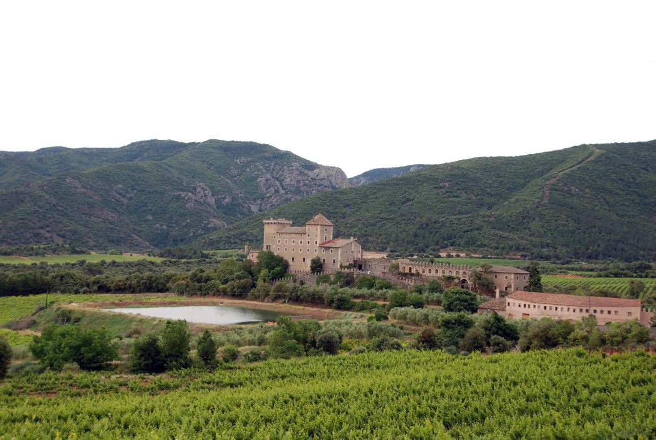 Castell De Riudabella Apartment Vimbodi I Poblet Ngoại thất bức ảnh
