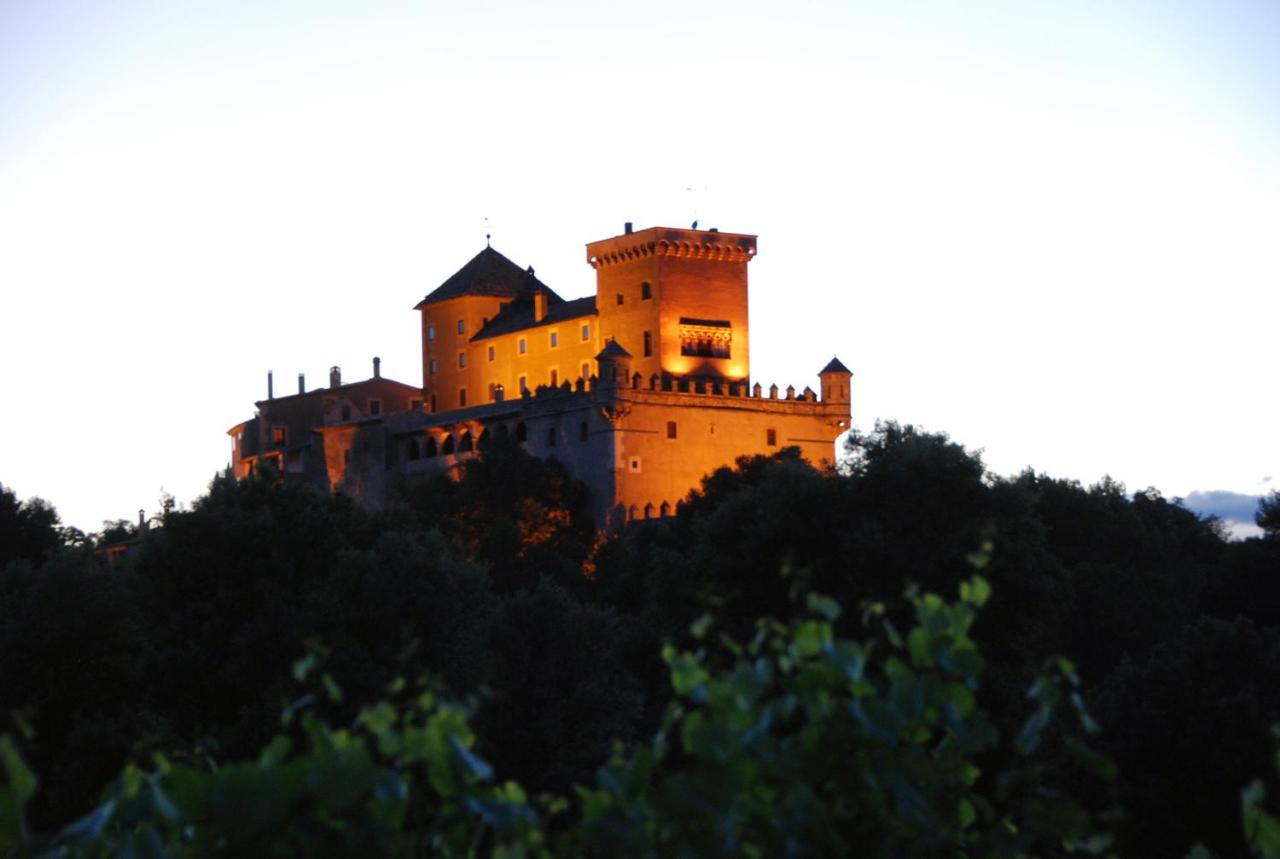 Castell De Riudabella Apartment Vimbodi I Poblet Ngoại thất bức ảnh