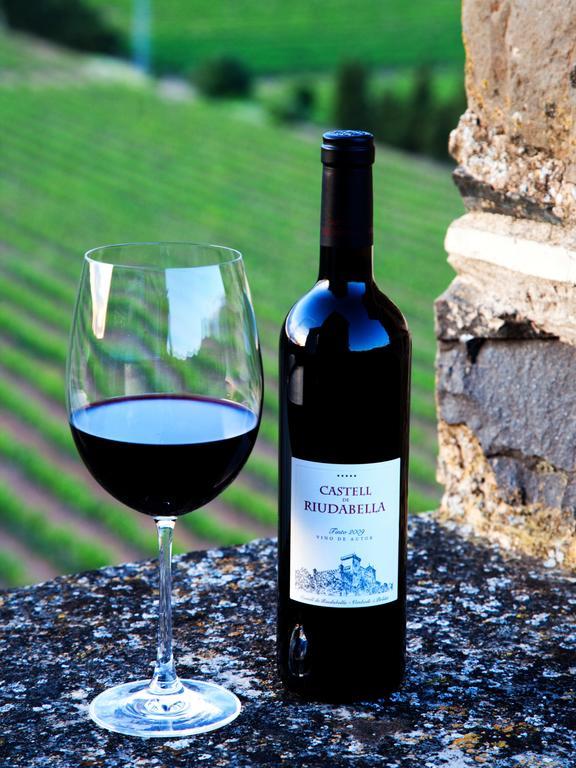 Castell De Riudabella Apartment Vimbodi I Poblet Ngoại thất bức ảnh