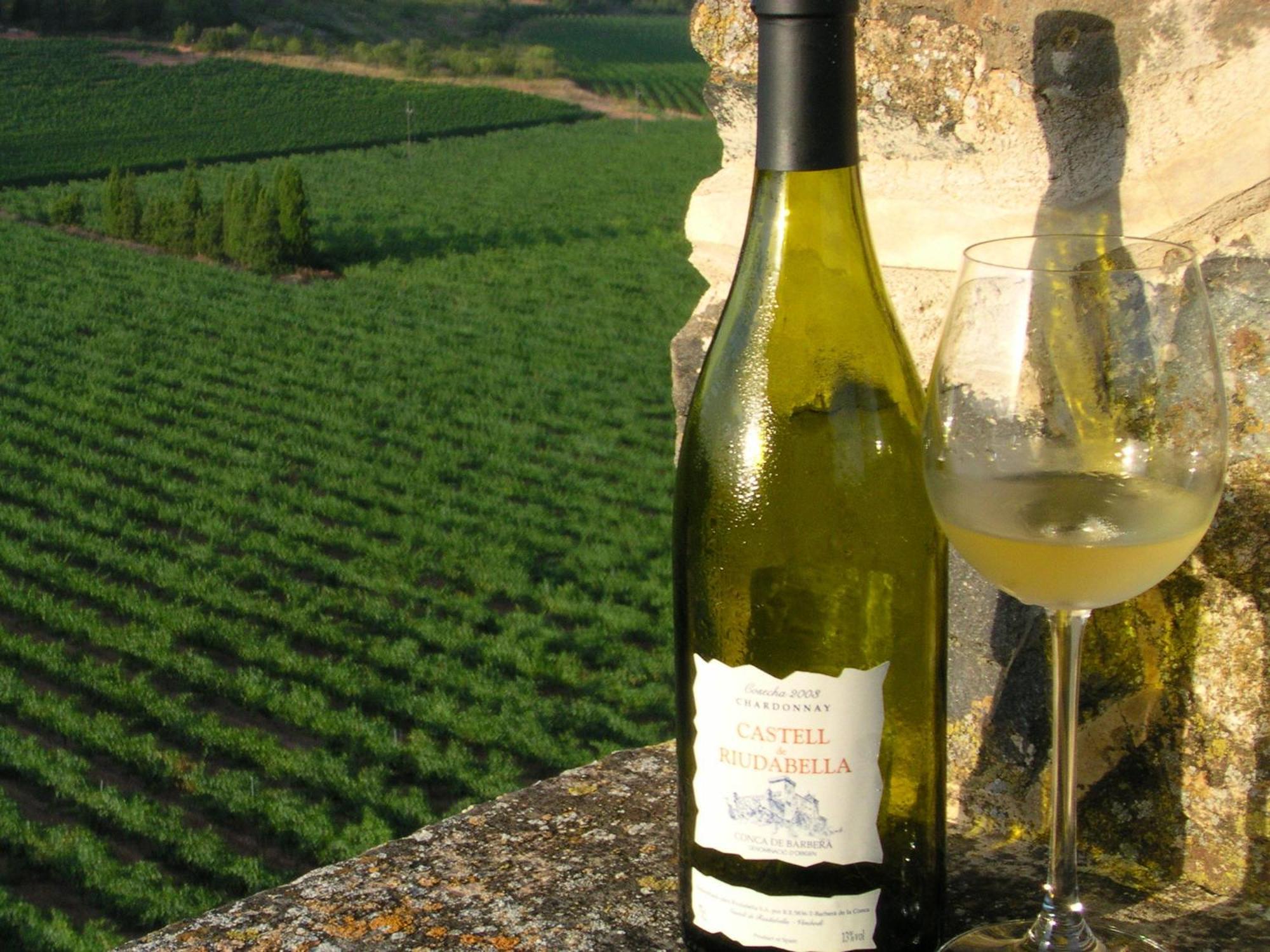 Castell De Riudabella Apartment Vimbodi I Poblet Ngoại thất bức ảnh