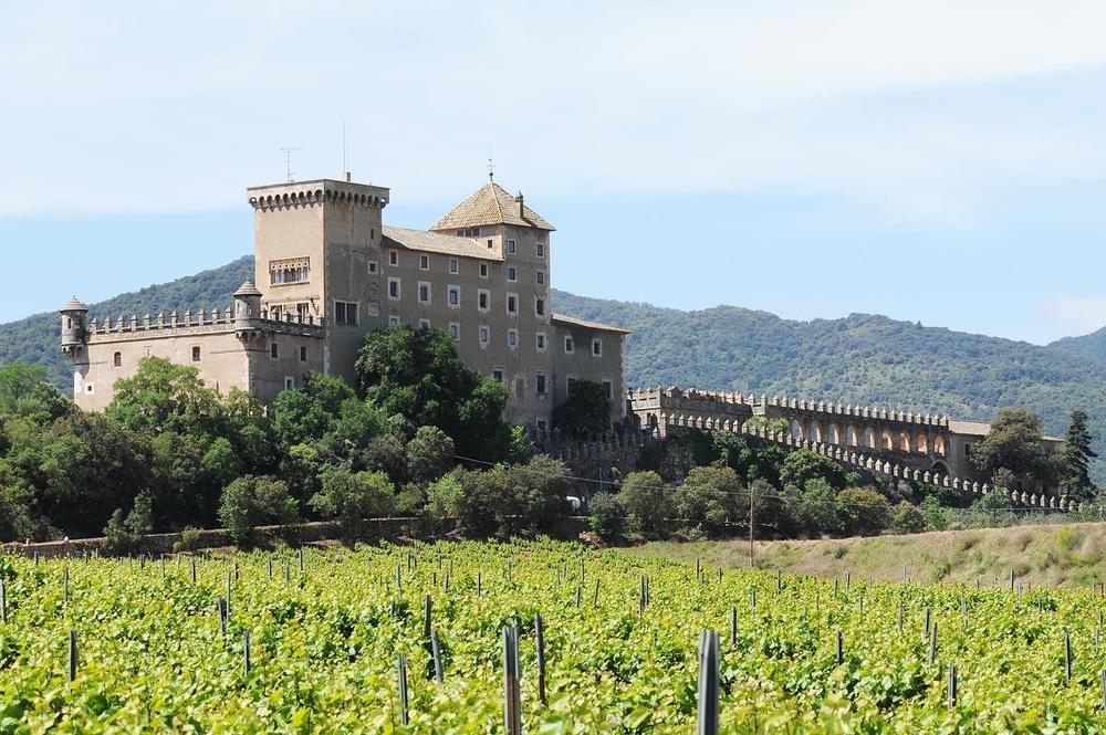 Castell De Riudabella Apartment Vimbodi I Poblet Ngoại thất bức ảnh