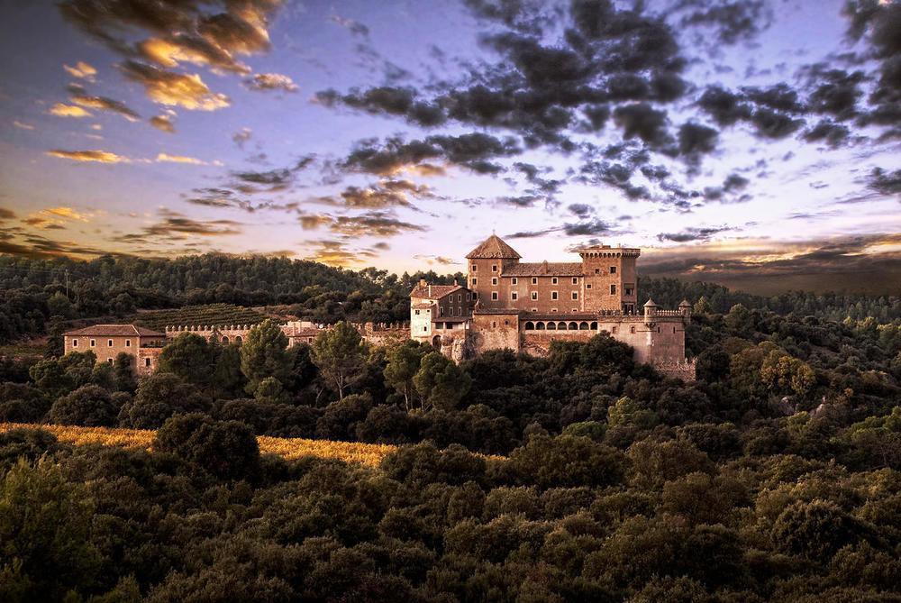 Castell De Riudabella Apartment Vimbodi I Poblet Ngoại thất bức ảnh