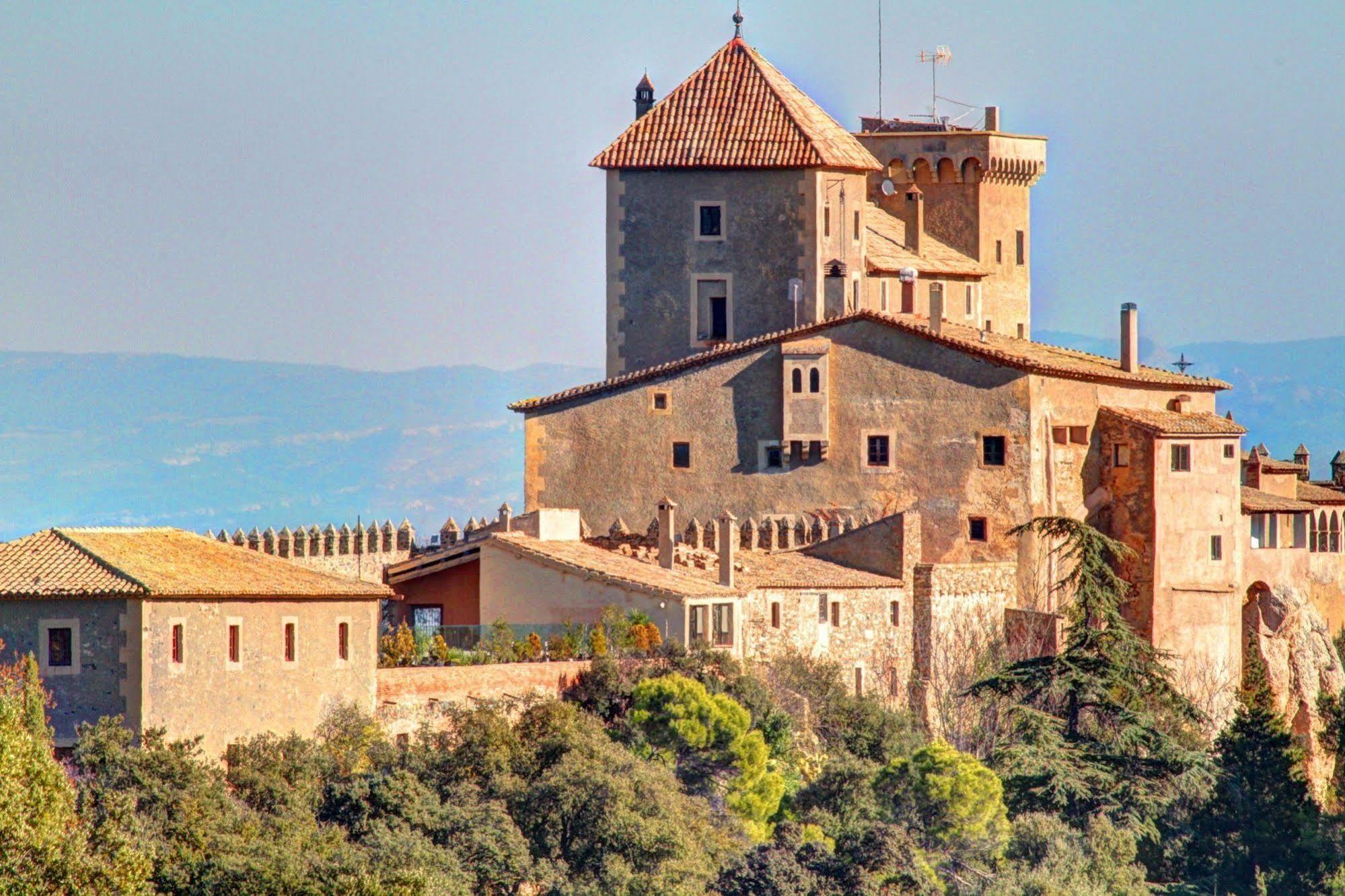 Castell De Riudabella Apartment Vimbodi I Poblet Ngoại thất bức ảnh