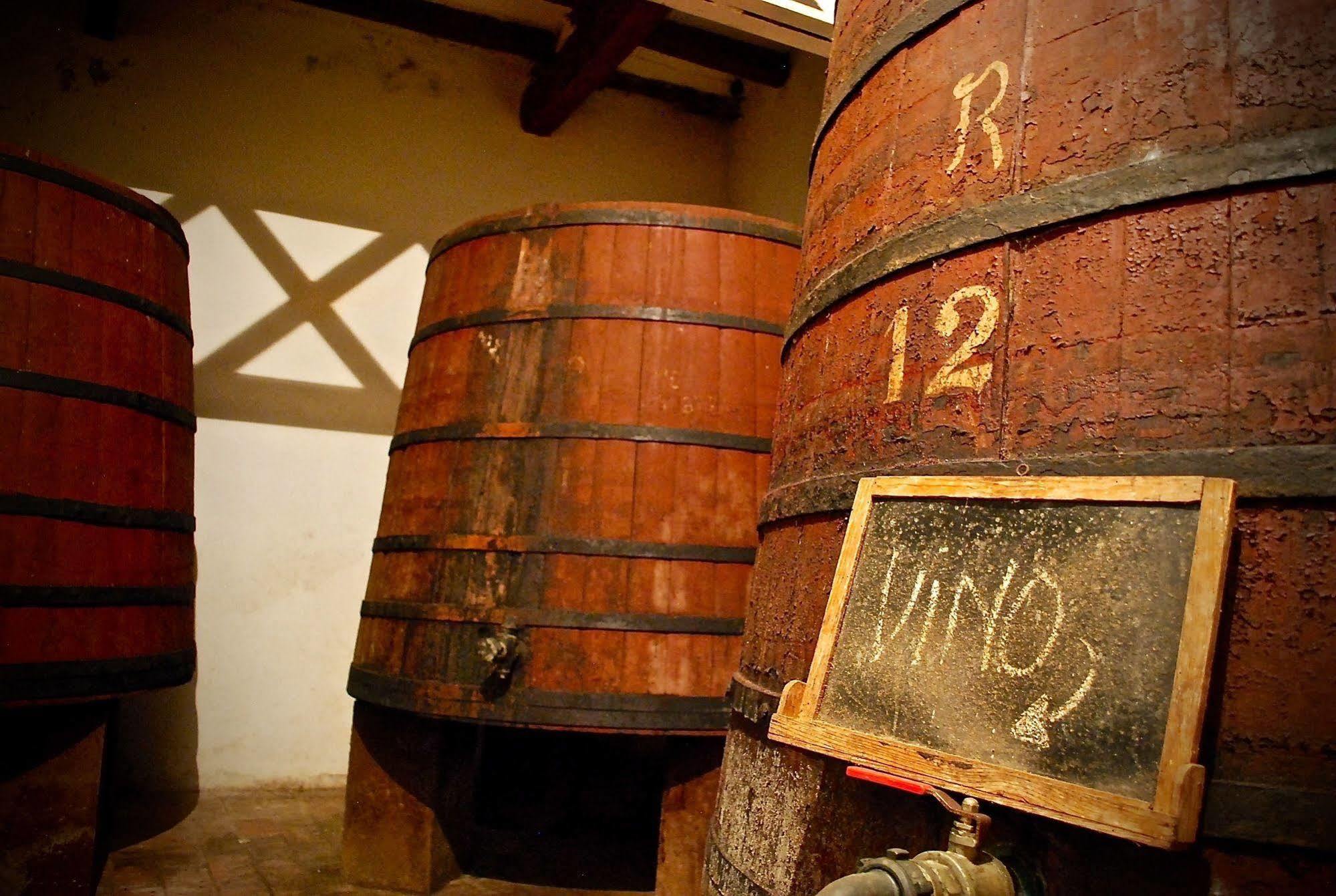 Castell De Riudabella Apartment Vimbodi I Poblet Ngoại thất bức ảnh